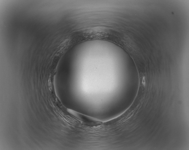 X0000052940771200507151642