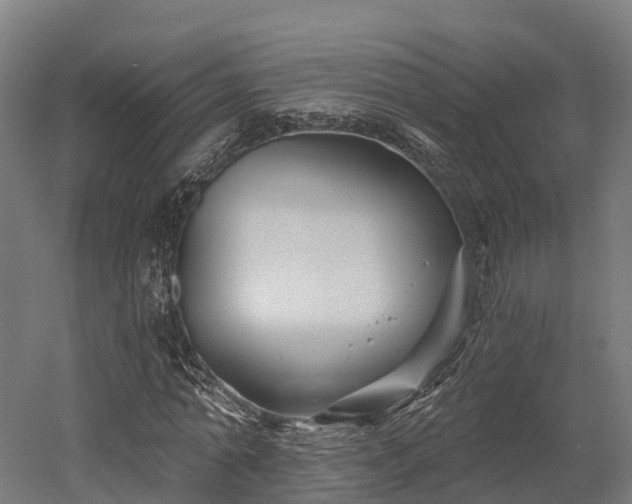 X0000052940774200507151642