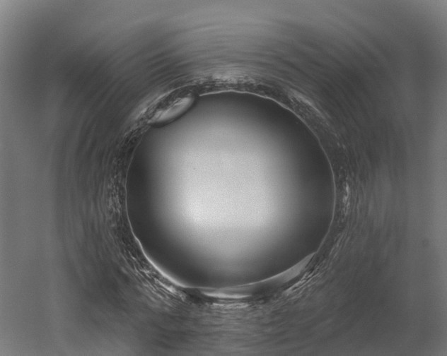 X0000052940776200507151642