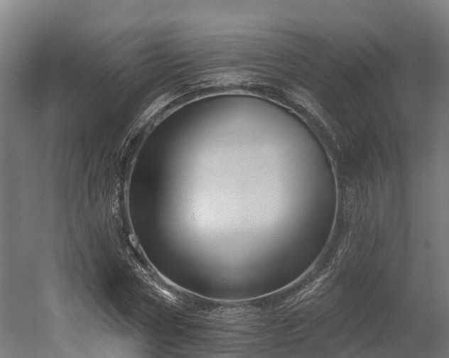 X0000052940778200507151642