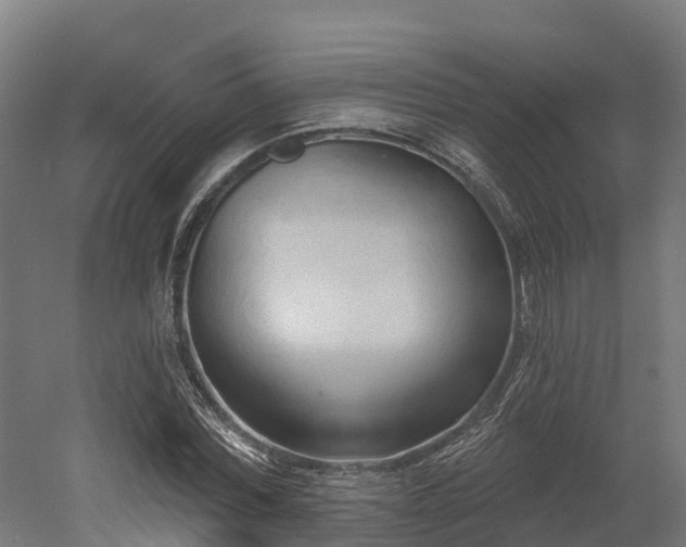 X0000052940780200507151642