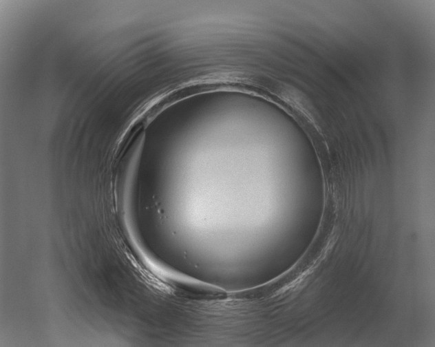 X0000052940781200507151642