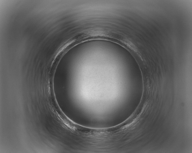 X0000052940782200507151642