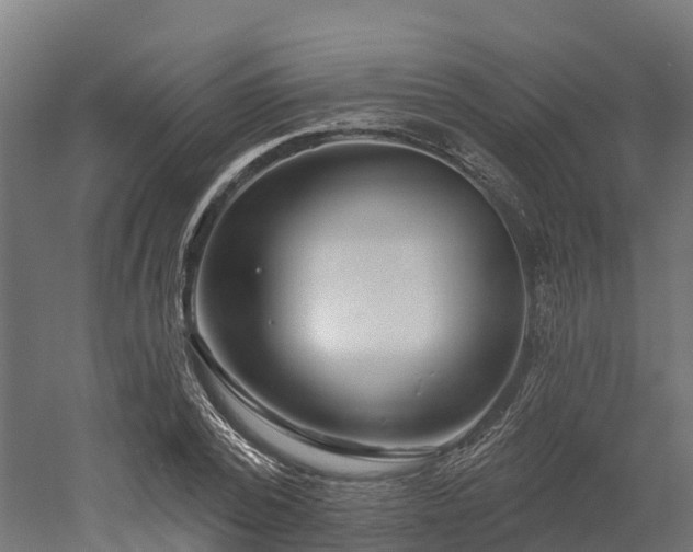 X0000052940784200507151642