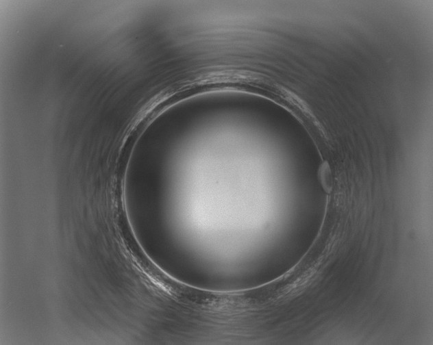 X0000052940786200507151642