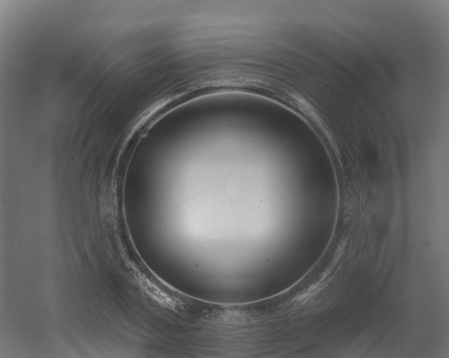 X0000052940787200507151642