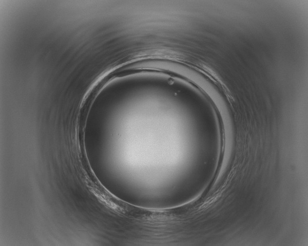 X0000052940788200507151642