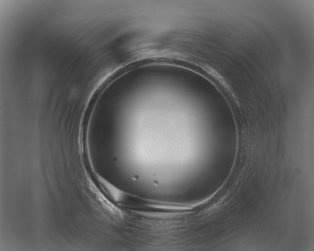 X0000052940791200507151642