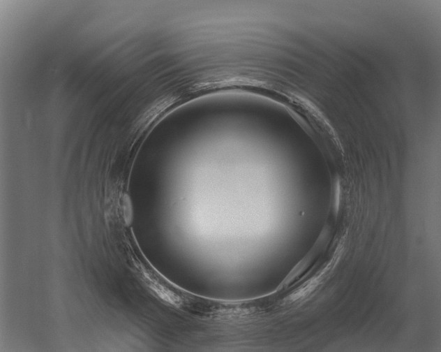 X0000052940793200507151642