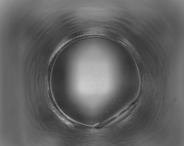 X0000052940796200507151642