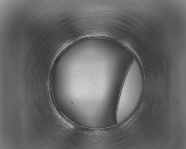 X0000052940797200507151642