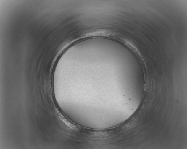 X0000052940800200507151641