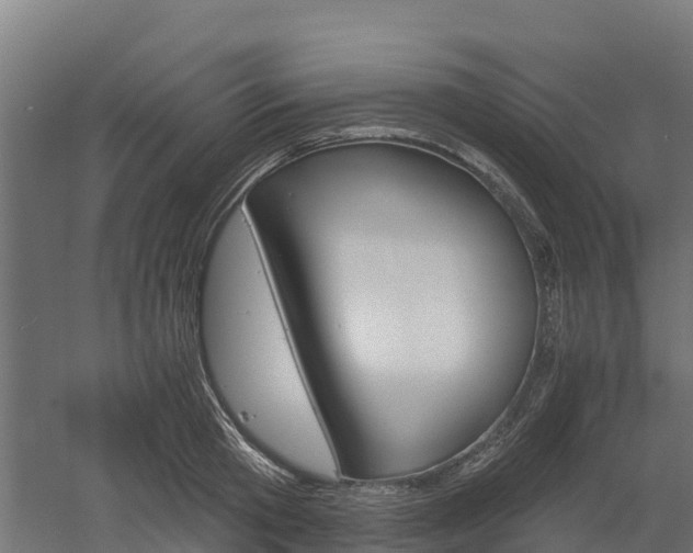 X0000052940801200507151641