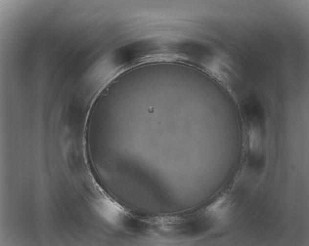 X0000052940802200507151641