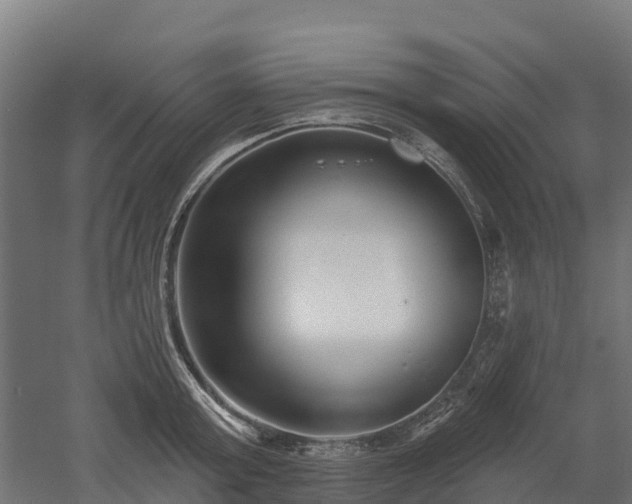 X0000052940803200507151641