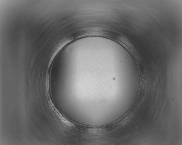 X0000052940804200507151641