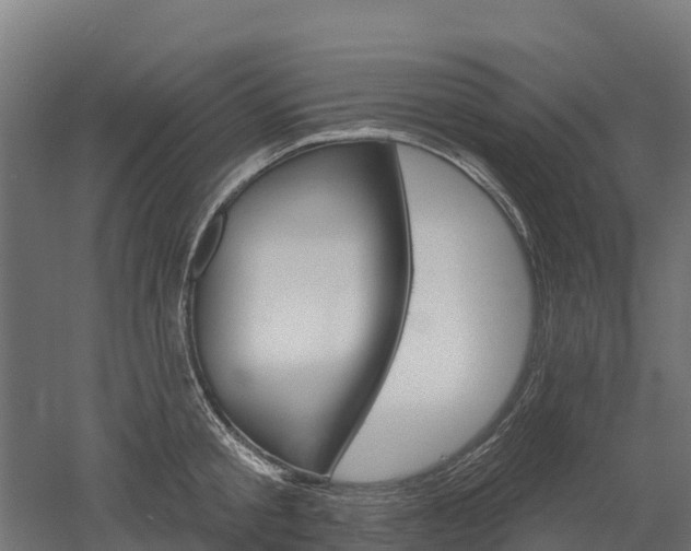 X0000052940805200507151641