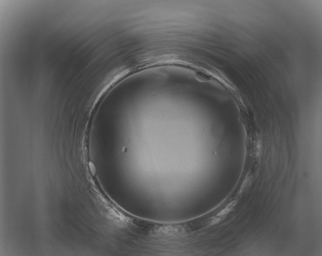 X0000052940806200507151641