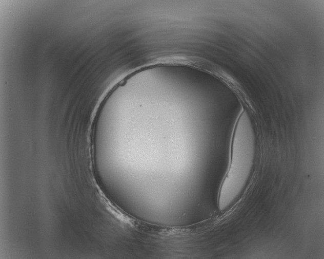 X0000052940808200507151641