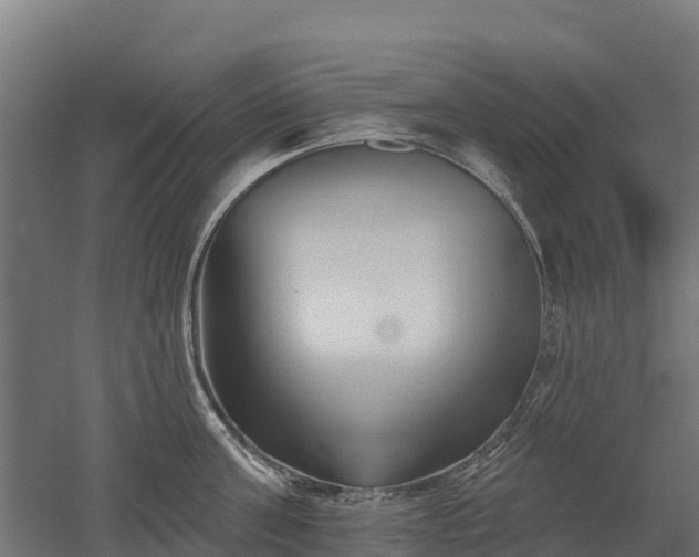 X0000052940811200507151641