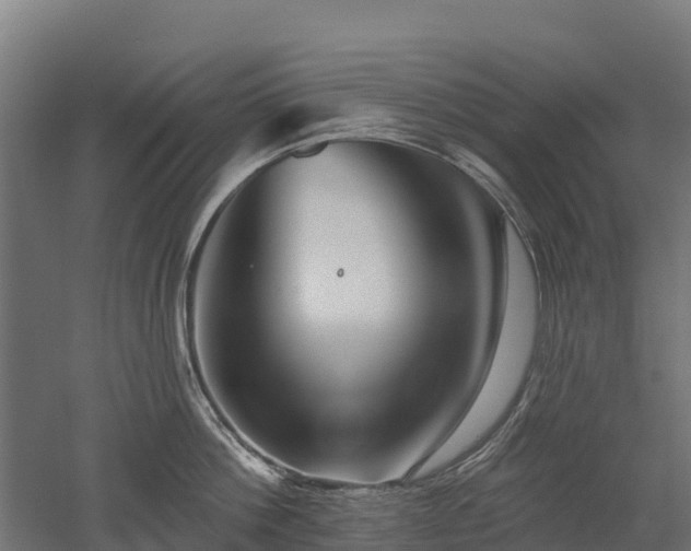 X0000052940812200507151641