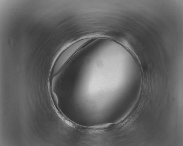 X0000052940813200507151641