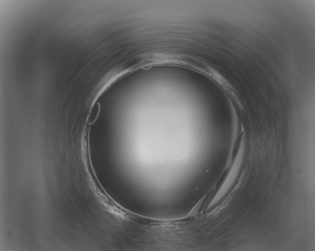 X0000052940814200507151641