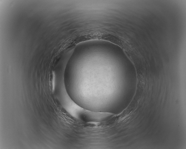 X0000052940818200507151640