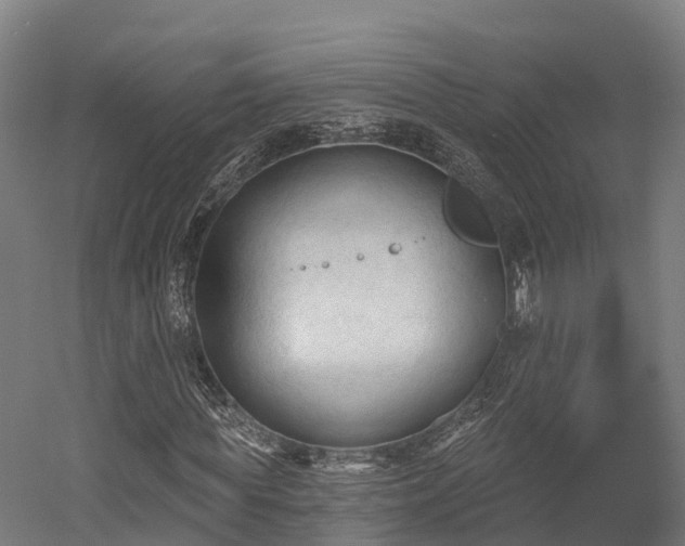 X0000052940819200507151640