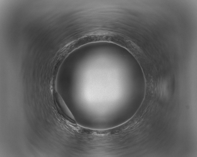 X0000052940821200507151640