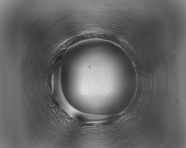 X0000052940822200507151640