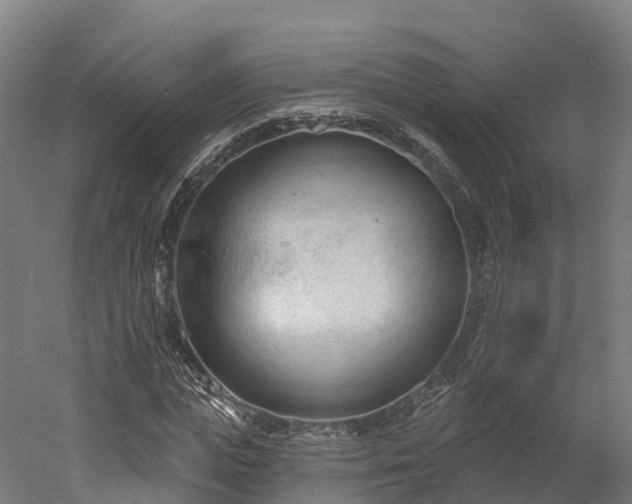 X0000052940823200507151641