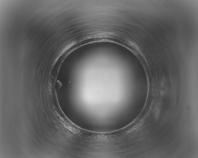 X0000052940827200507151641