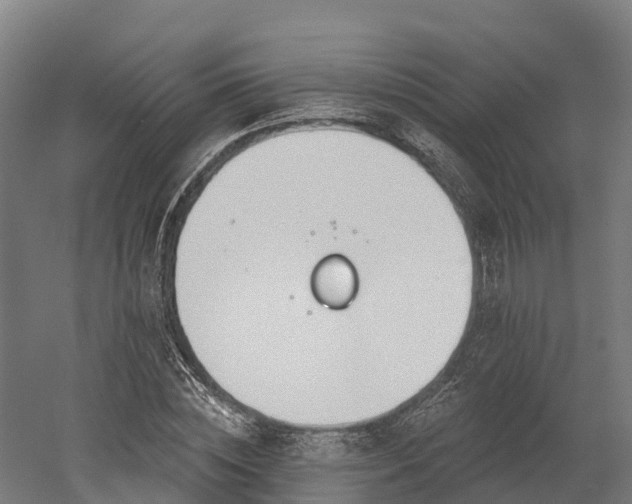 X0000052940828200507151641