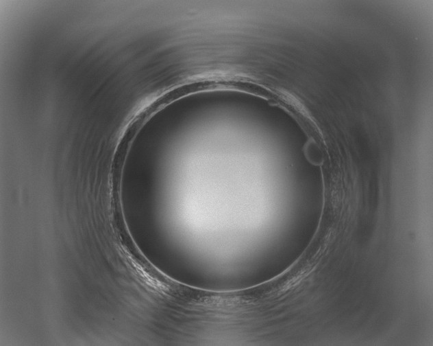 X0000052940831200507151641