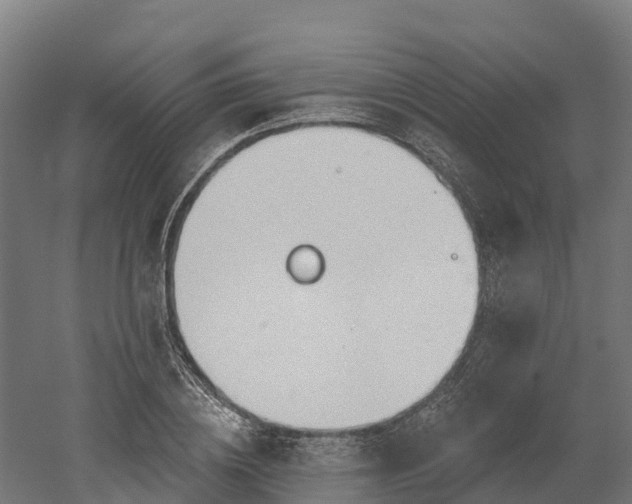 X0000052940836200507151641