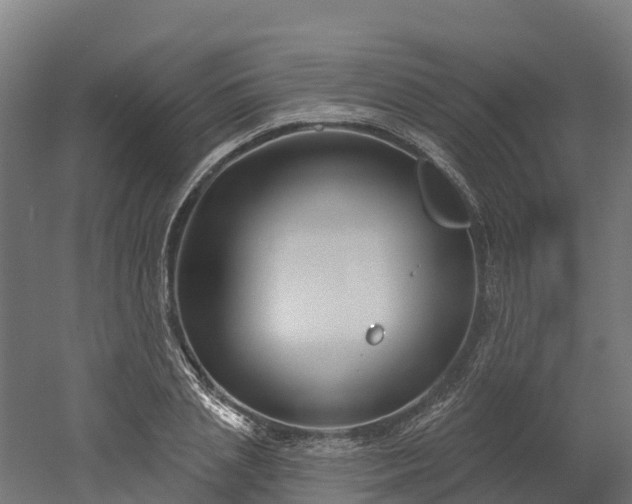 X0000052940837200507151641