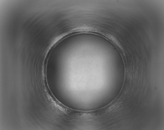 X0000052940839200507151641