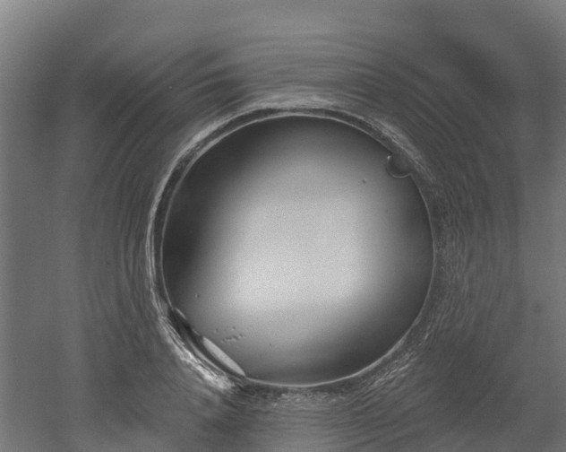 X0000052940840200507151641