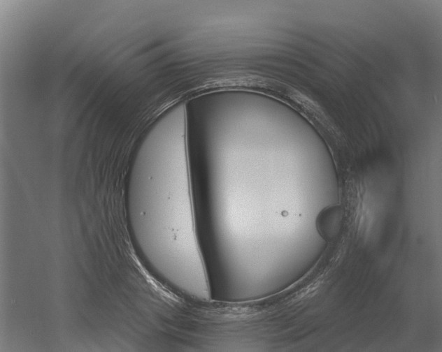 X0000052940841200507151641