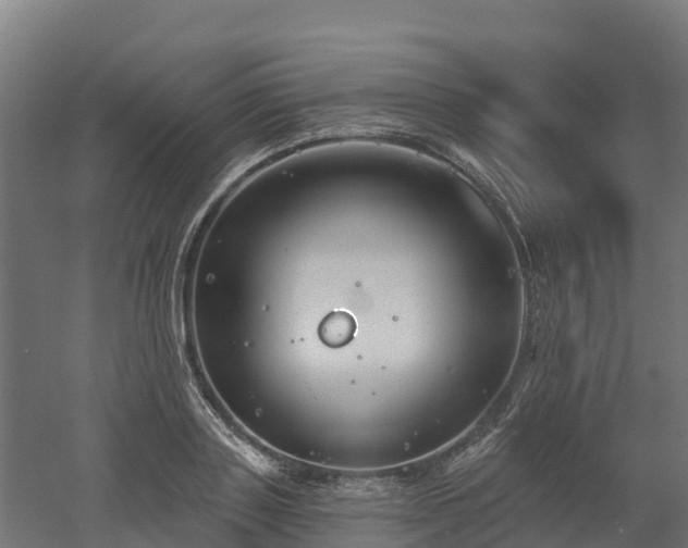 X0000052940843200507151641