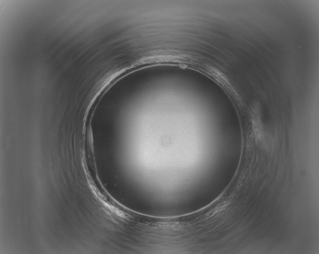 X0000052940844200507151641