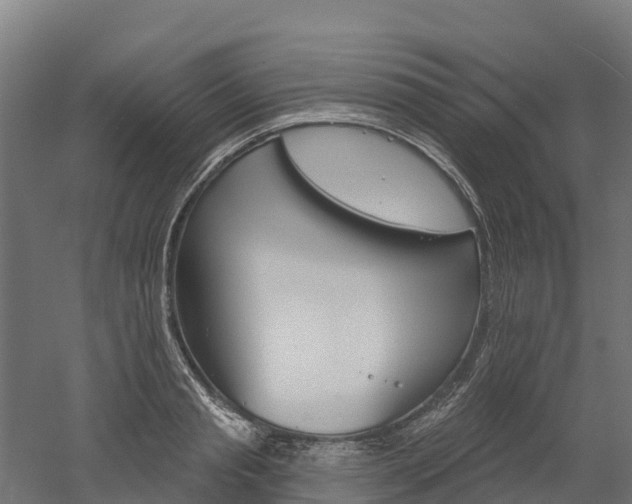 X0000052940845200507151641