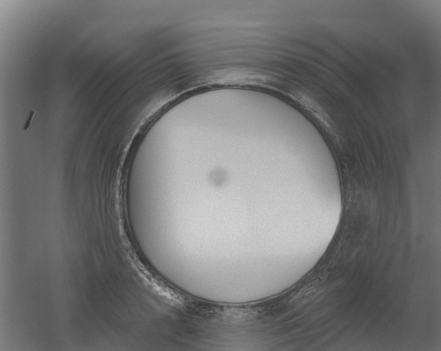 X0000052940848200507151641