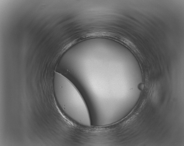 X0000052940849200507151641