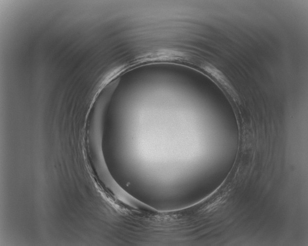 X0000052940850200507151641