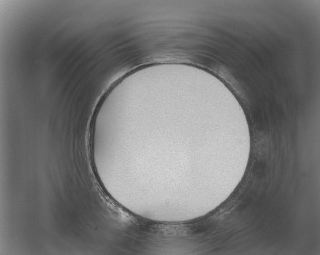 X0000052940856200507151641