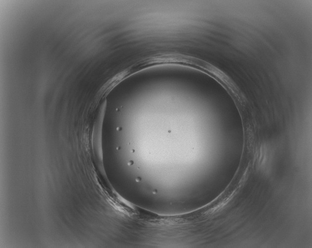 X0000052940857200507151641