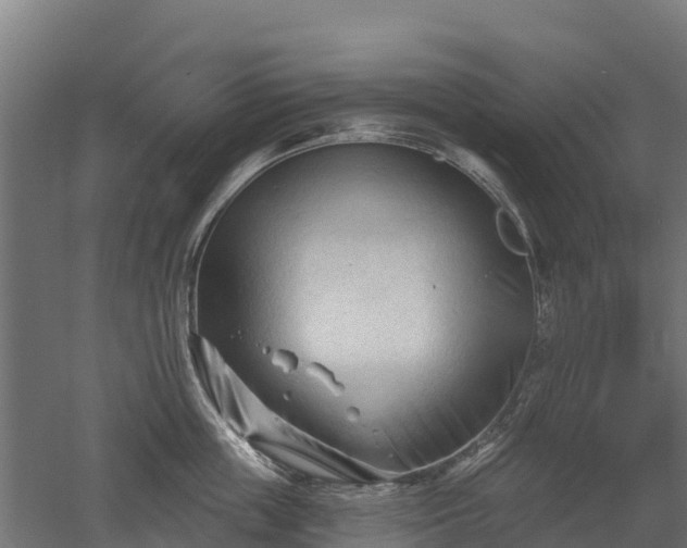 X0000052940859200507151641