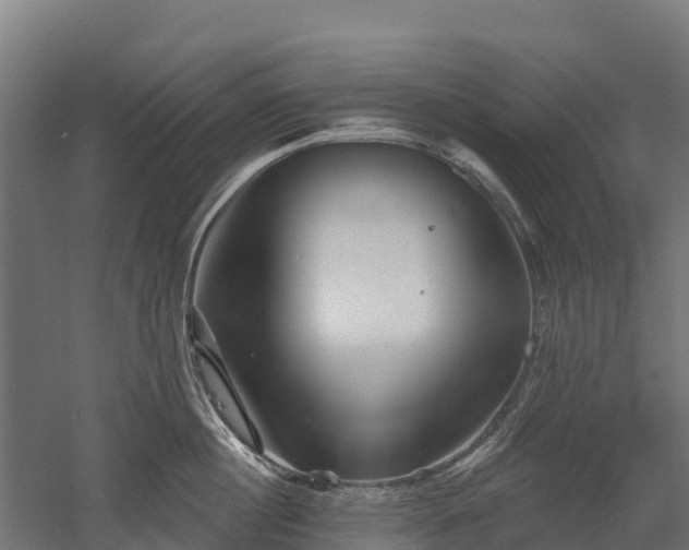 X0000052940860200507151641